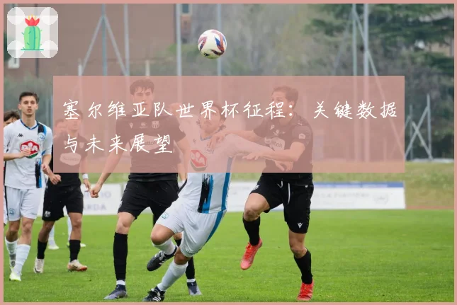 塞尔维亚队世界杯征程:关键数据与未来展望